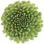 Les Fleurs logo